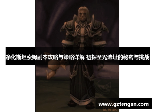 净化斯坦索姆副本攻略与策略详解 初探圣光遗址的秘密与挑战