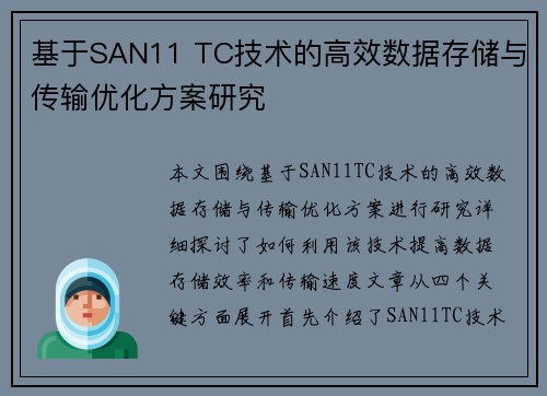 基于SAN11 TC技术的高效数据存储与传输优化方案研究